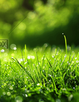 穿越异界：我的双眼能解析万物