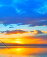 救命啊男人要灭绝了