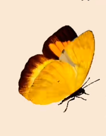 盐铁论经典语录