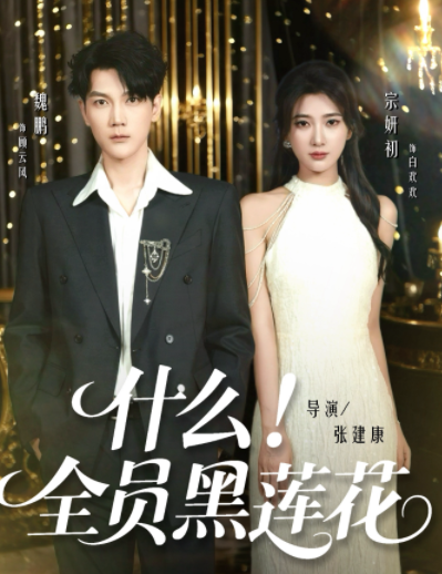 什么全员黑莲花