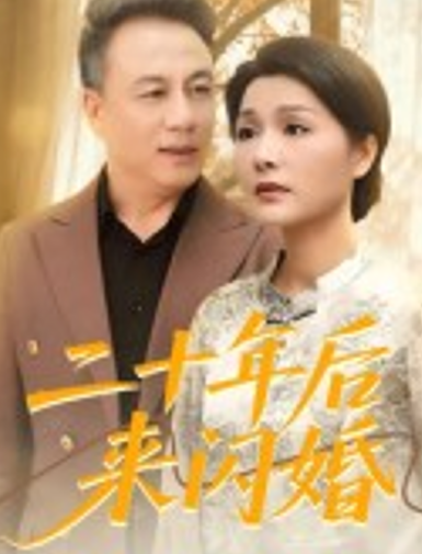 二十年后来闪婚