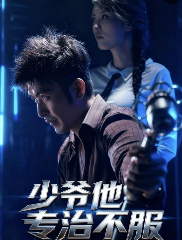 少爷他专治不服