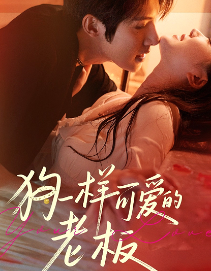 狗一样可爱的老板