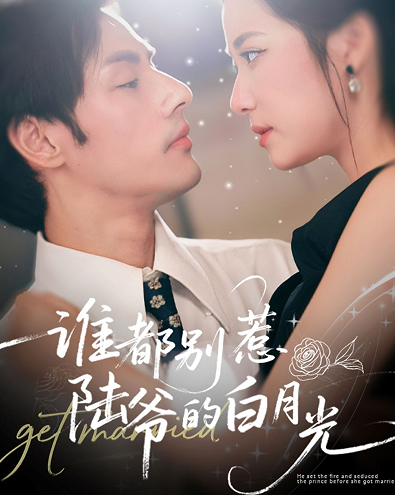 谁都别惹陆爷的白月光